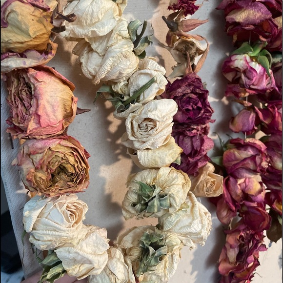 Dried 🥀 Roses - Picture 2 of 9
